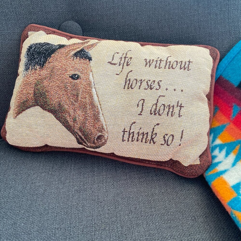 Decorative Pillow for Horse Lovers!